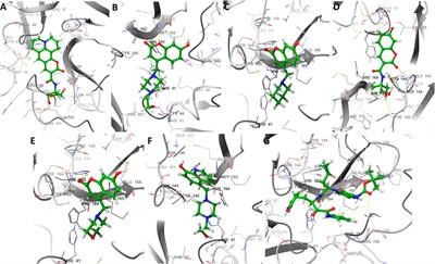 In Silico Study of Coumarins and Quinolines Derivatives as Potent Inhibitors of SARS-CoV-2 Main Protease